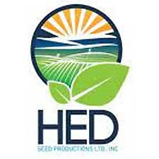 هدسیدز-HED SEEDS